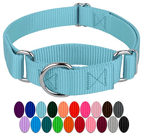 Product Cover Country Brook Design - Martingale Heavyduty Nylon Dog Collar (Various Sizes & Colors) (Large, 1 Inch Wide, Ocean Blue)