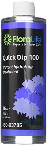 Product Cover Floralife Smither Oasis Quick Dip 100 Instant Hydrating Treatment, 16 Ounce