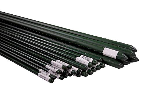 Product Cover Bond Manufacturing SS6 100-Pack Super Steel Stake for Plant Support, 6-Feet