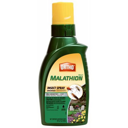 Product Cover Ortho MAX Malathion Concentrate Insect Spray, 32-Ounce