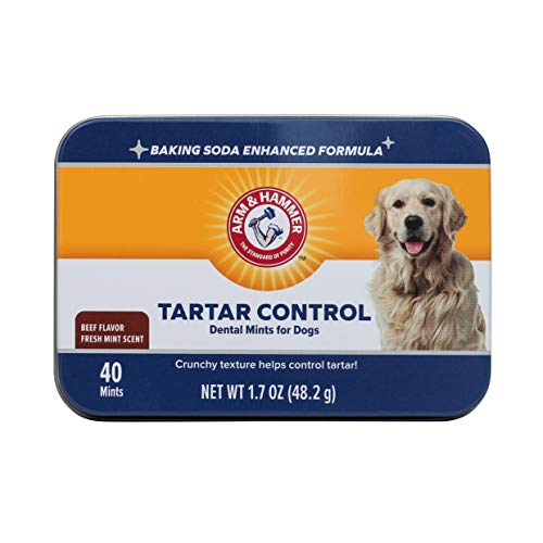 Product Cover Arm & Hammer Dog Dental Care Tartar Control Dental Mints for Dogs | Reduces Plaque & Tartar Buildup Without Brushing, 1.7 ounces (40 Pcs), Beef Flavor (Packaging may vary)