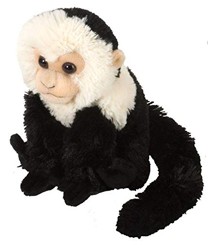 Product Cover Wild Republic Capuchin Plush, Stuffed Animal, Plush Toy, Gifts for Kids, Cuddlekins 8 Inches