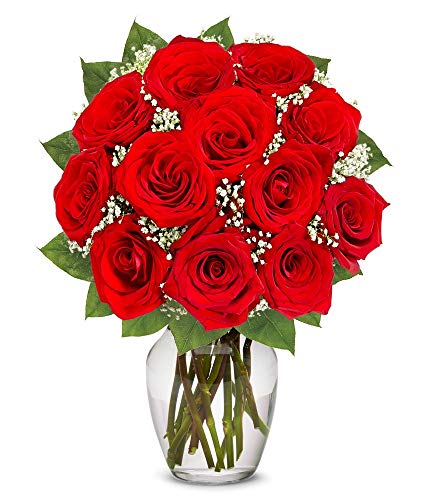 Product Cover Flowers - One Dozen Long Stemmed Red Roses (Free Vase Included)