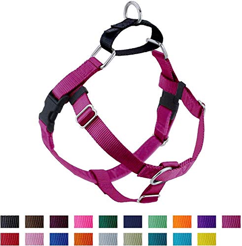 Product Cover 2 Hounds Design Freedom No Pull Dog Harness with Leash, Adjustable Gentle Comfortable Control for Easy Dog Walking, for Small Medium and Large Dogs, Made in USA