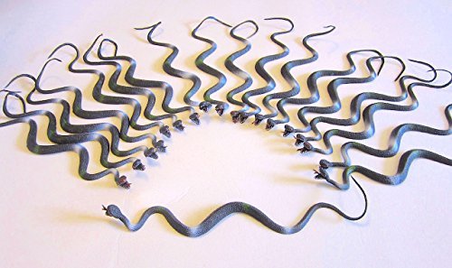 Product Cover 4 ~ Vinyl Snakes ~ Approx. 22
