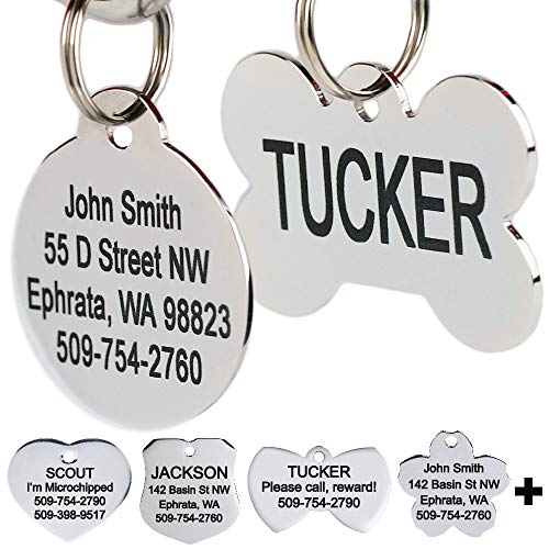 Product Cover GoTags Stainless Steel Pet ID Tags, Personalized Dog Tags and Cat Tags, up to 8 Lines of Custom Text Engraved on Both Sides, in Bone, Round, Heart, Bow Tie, Flower, Star and More (Bone, Regular)