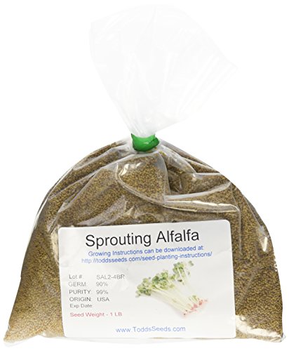 Product Cover Chemical Free Alfalfa Sprout Seeds -1 Lb- Seeds For: Salad Sprouts & Sprouting - Can Be Grown in Any Sprouter