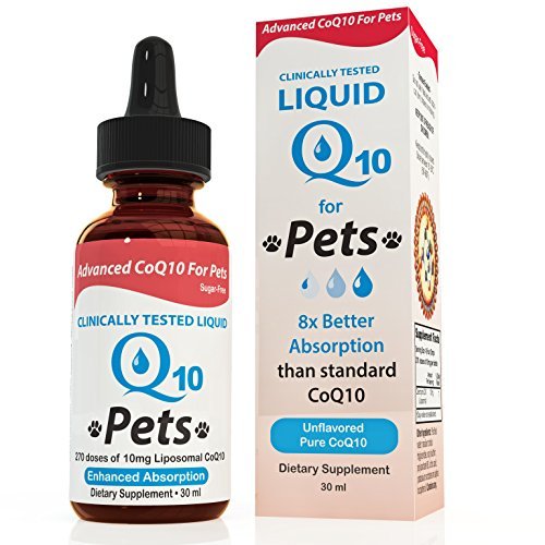 Product Cover Stay-Well Pets Liquid CoQ10 For Pets, 30 ml