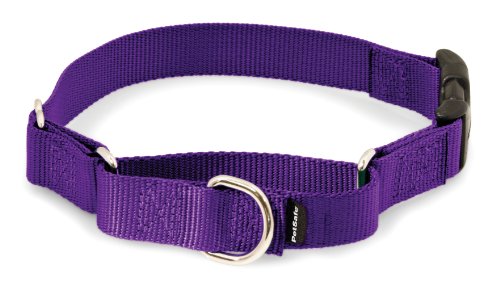 Product Cover PetSafe Martingale Collar with Quick Snap Buckle, 3/4