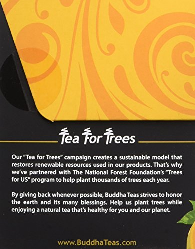 Product Cover Organic Papaya Leaf Tea - 18 Bleach-Free Tea Bags - Caffeine-Free, Aids Digestion, Good Source of Vitamins, Chemical-Free, and GMO-Free Herbal Tea, Kosher