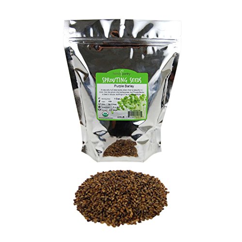 Product Cover Purple Barley Seeds - Certified Organic - 2.5 Lb Pouch - Handy Pantry Brand - Also Called Black Barley - No Hull - For Barleygrass, Grind for Flour, Food Storage, Soups & More