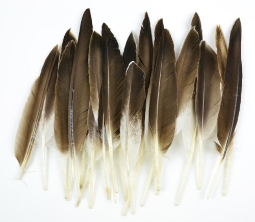 Product Cover Touch of Nature 22-Piece Duck Wing Quills for Arts and Crafts, 8-Inch, Natural/Grey