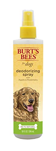 Product Cover Burt's Bees All Natural Deodorizing Spray for Dogs | Best Dog Spray for Smelly Dogs | Made with Apple & Rosemary, 10 oz