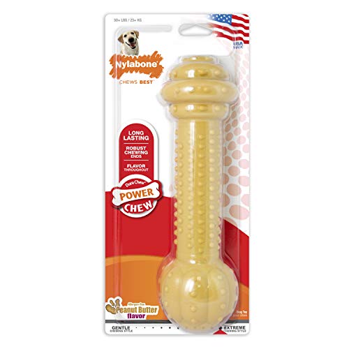 Product Cover Nylabone Power Chew DuraChew Peanut Butter Large Breed Dog Chew Toy