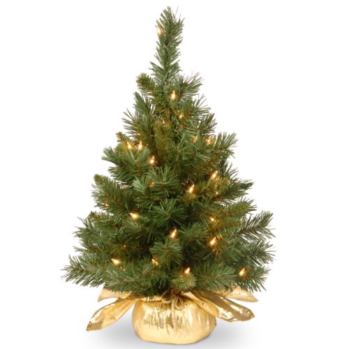 Product Cover National Tree 24 Inch Majestic Fir Tree with 35 Clear Lights in Gold Cloth Bag (MJ3-24GDLO-1)