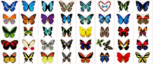 Product Cover Premium Butterfly Stickers, Decals - for Cards, Envelopes, Laptops, Windows
