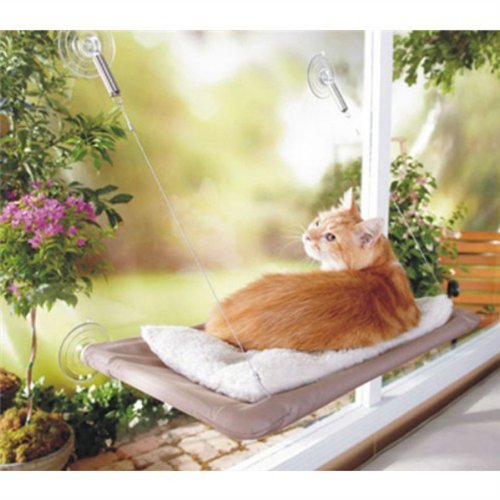 Product Cover PETPAWJOY Cat Bed, Cat Window Perch Window Seat Suction Cups Space Saving Cat Hammock Pet Resting Seat Safety Cat Shelves - Providing All Around 360° Sunbath for Cats Weighted up to 30lb
