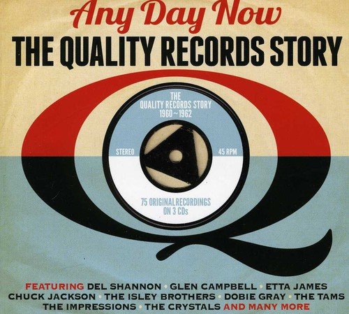 Product Cover Any Day Now: Quality Records Story / Various