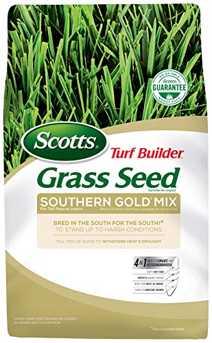 Product Cover Scotts 19007 Turf Builder Southern Gold Mix for Tall Fescue Lawns-7 lb. Grass Seed, 7-Pound