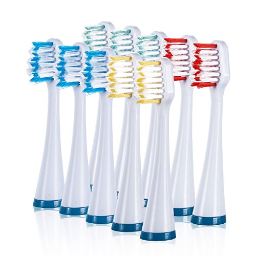 Product Cover Wellness HP10TX Replacement Heads for HP-STX Sonic Electric Toothbrush (10 Pack)