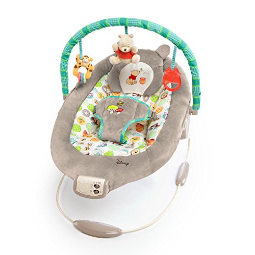 Product Cover Disney Baby Winnie The Pooh Bouncer, Dots and Hunny Pots