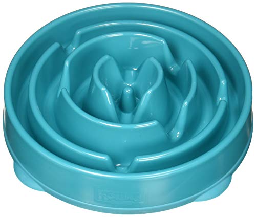 Product Cover Dog Games Outward Hound Fun Feeder Drop Teal