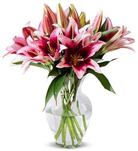 Product Cover Benchmark Bouquets 8 Stem Stargazer Lily Bunch, With Vase (Fresh Cut Flowers)