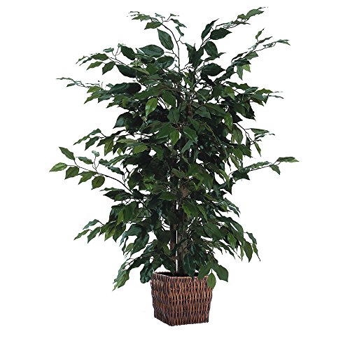 Product Cover Vickerman 4' Artificial Ficus in Square Willow Container