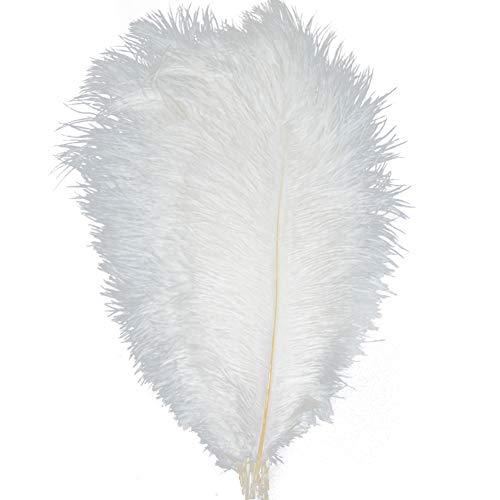 Product Cover KOLIGHT 100pcs Ostrich Feather White 12