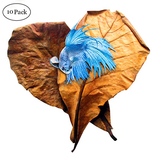 Product Cover SunGrow Betta Leaves, 9 Inches Long, Induce Breeding and Boost Immunity, Reduce Stress, No Toxic Chemicals Added, for Playing and Hiding, Easy to Use, 10 Pack