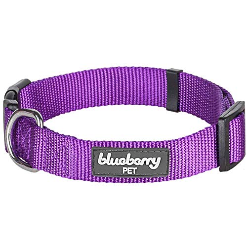 Product Cover Blueberry Pet 22 Colors Classic Dog Collar, Dark Orchid, Large, Neck 18