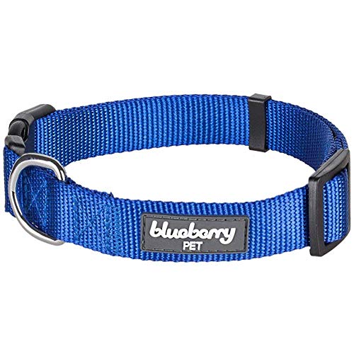 Product Cover Blueberry Pet 22 Colors Classic Dog Collar, Royal Blue, X-Small, Neck 8