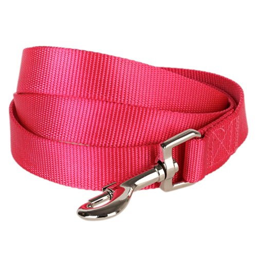 Product Cover Blueberry Pet Essentials 19 Colors Durable Classic Dog Leash 5 ft x 3/4