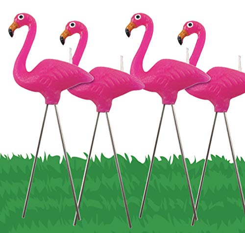 Product Cover Pink Flamingo 4