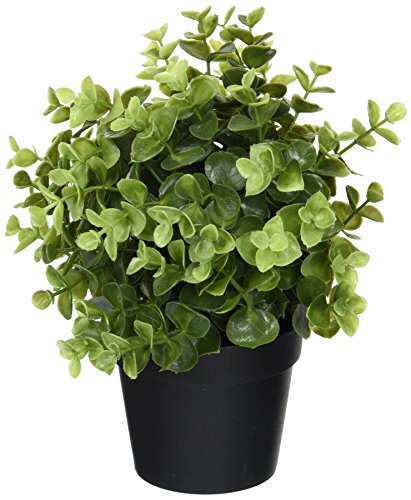 Product Cover Ikea Artificial Potted Plant, Jade, 9.5 Inch
