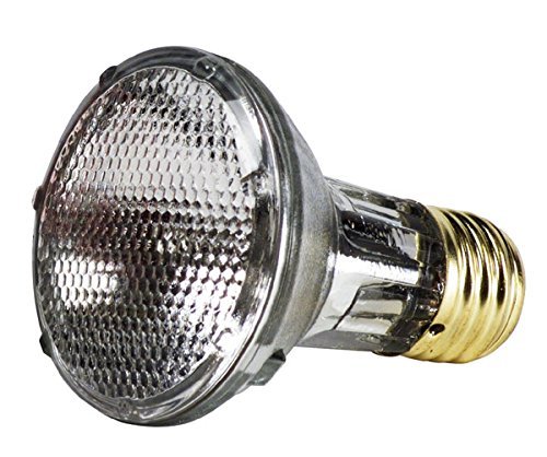 Product Cover GE Energy Efficient Halogen PAR20 Light Bulb, 1 Year Life, Indoor Floodlight, 38 Watt, 490 Lumens, 2 Pack