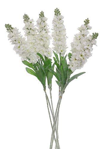 Product Cover Lily Garden Set of 6 Stems 32