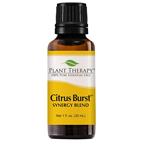 Product Cover Plant Therapy Citrus Burst Synergy Essential Oil Blend 30 mL (1 oz) 100% Pure, Undiluted, Therapeutic Grade