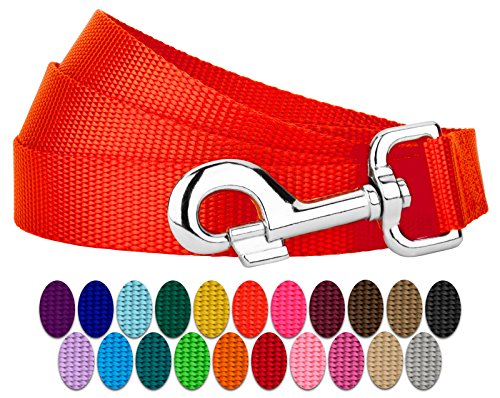 Product Cover Country Brook Petz - Vibrant 25 Color Selection - Nylon Dog Leash (1 Inch Wide, 4 Foot, Hot Orange)