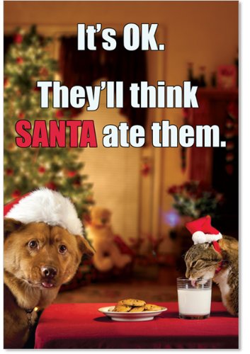 Product Cover 12 Boxed 'Think Santa Ate Them' Christmas Cards with Envelopes 4.63 x 6.75 inch, Happy Holidays with Kitty and Puppy Eating Cookies Christmas Cards, Milk and Christmas Cookies Holiday Notes B1957