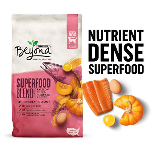 Product Cover Purina Beyond Natural Dry Dog Food, Superfood Blend Salmon, Egg & Pumpkin Recipe - 14.5 lb. Bag
