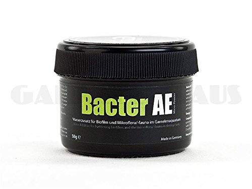 Product Cover GlasGarten Bacter AE Shrimp Tank Treatment (35g) | Nutrients for Live Freshwater Shrimp Food/Aquarium Water (Neocaridina, Amano, Red Cherry, Rili)