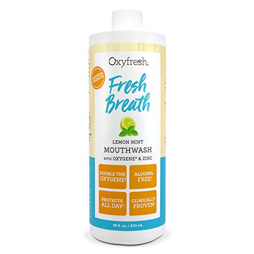 Product Cover Oxyfresh Lemon Mint Mouthwash - Oxygene & Zinc - 1 bottle 16oz- Alcohol Free Solution for Long-Lasting Fresh Breath & Dry Mouth Prevention Dye-Free, Gluten Free, Naturally Flavored with Essential Oils