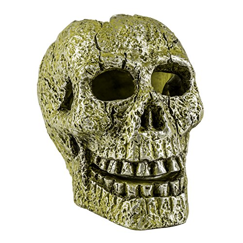 Product Cover GloFish Ornament, Skull