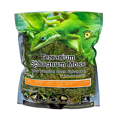 Product Cover Galápagos (05213) Terrarium Sphagnum Moss, 5-Star Green Sphagnum, Natural, 4QT