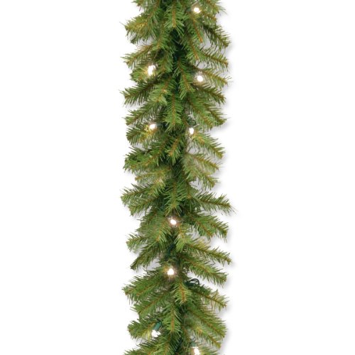 Product Cover National Tree 9 Foot by 10 Inch Norwood Fir Garland with 50 Battery Operated Warm White LED Lights (NF3-308-9A-B)