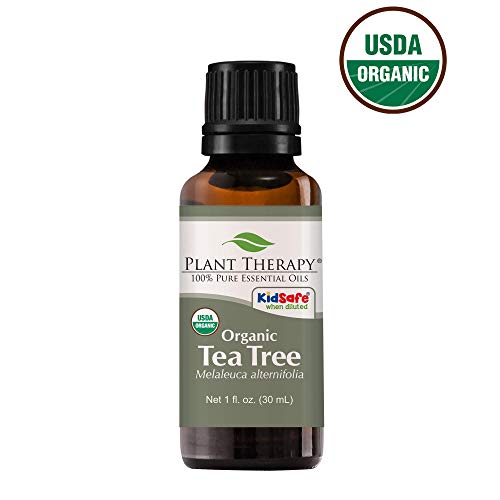 Product Cover Plant Therapy Tea Tree Organic Essential Oil 100% Pure, USDA Certified Organic, Undiluted, Natural Aromatherapy, Therapeutic Grade 30 mL (1 oz)