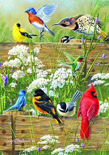 Product Cover Buffalo Games - Hautman Brothers - Songbird Menagerie - 300 Large Piece Jigsaw Puzzle