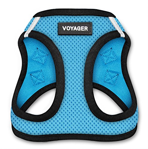 Product Cover Voyager Step-In Air Dog Harness - All Weather Mesh, Step In Vest Harness for Small and Medium Dogs by Best Pet Supplies - Baby Blue Base, X-Small (Chest: 13