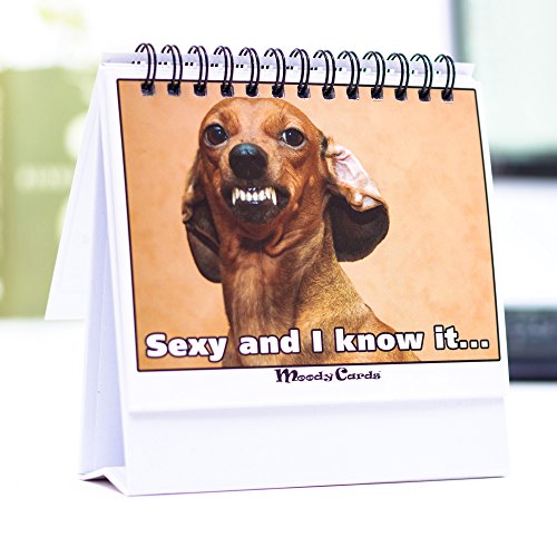 Product Cover Funny Office Gifts - Doggy Moodycards! Great Cubicle Accessories - Make Everyone Laugh with These Lovable Pets -Hilarious Dog Pictures Tells Everyone How You Feel - Fun, Hilarious, Useful & Adorable